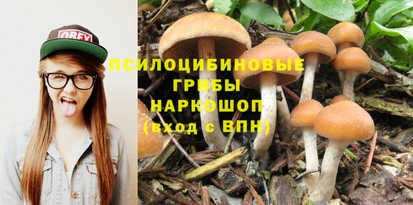кристаллы Богородск