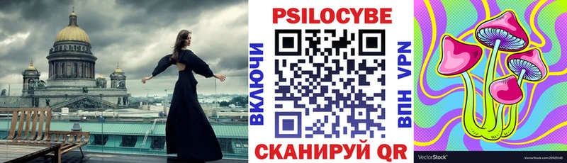 Псилоцибиновые грибы Psilocybine cubensis  Бугуруслан 